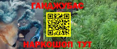 сатива Лесосибирск