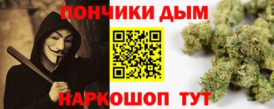 сатива Лесосибирск