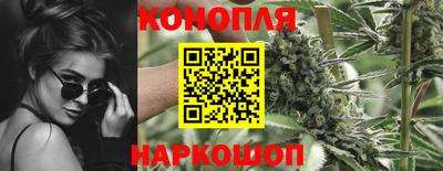 сатива Лесосибирск