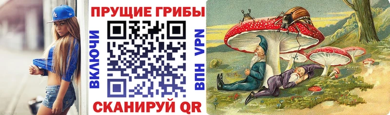 Галлюциногенные грибы Psilocybine cubensis  omg ссылки  Сургут 