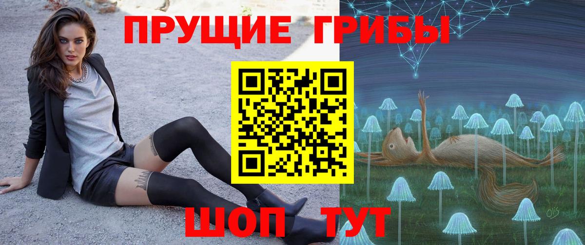 Сургут  Псилоцибиновые грибы Psilocybe  Вход с VPN  Псилоцибиновые грибы мицелий 